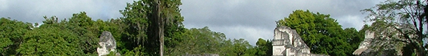 Map Footer