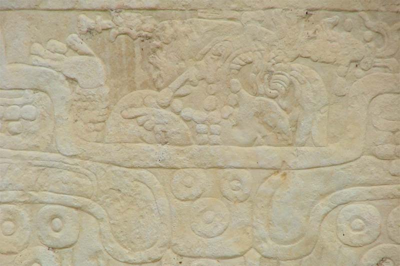 Detail of Bonampak Stela 1 showing the young corn god emerging from a cleft in the earth monster's skull