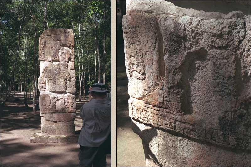 Reassembled fragments of Stela 66 at Calakmul