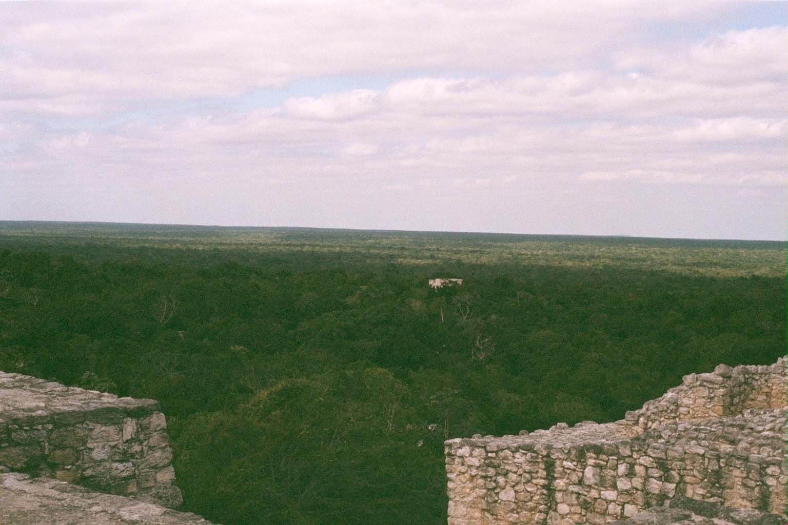 Jungle canopy view from Calakmul summit
