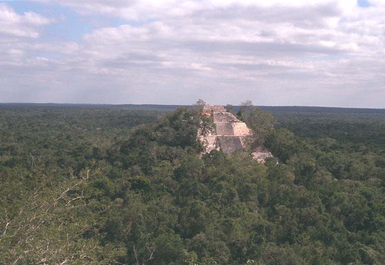 Wild and isolated view of Structure I