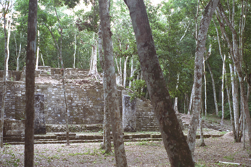 Structure V dividing the main plaza