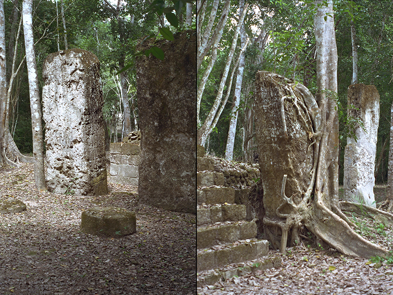 Eroded stelae at Structure V