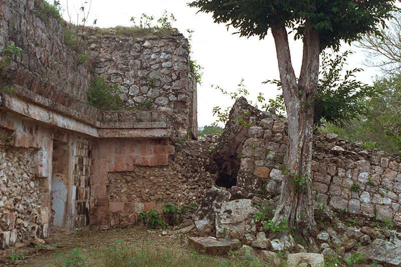 Ruins of the left wing of the Palace showing core masonry