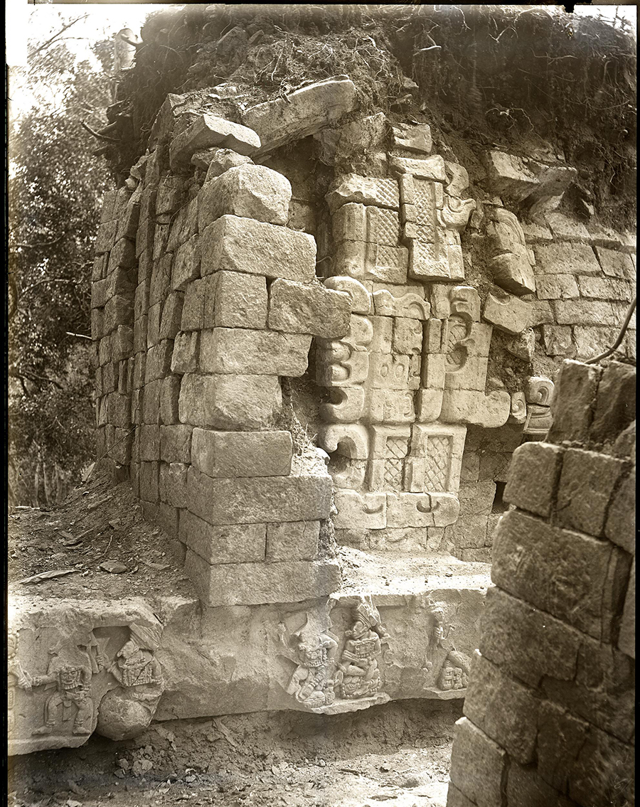 Maudslay's 1890 photo of Copan Temple 11