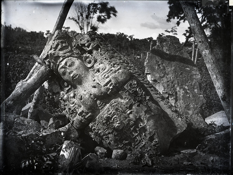 Maudslay's 1890 glass plate negative of Stela c'