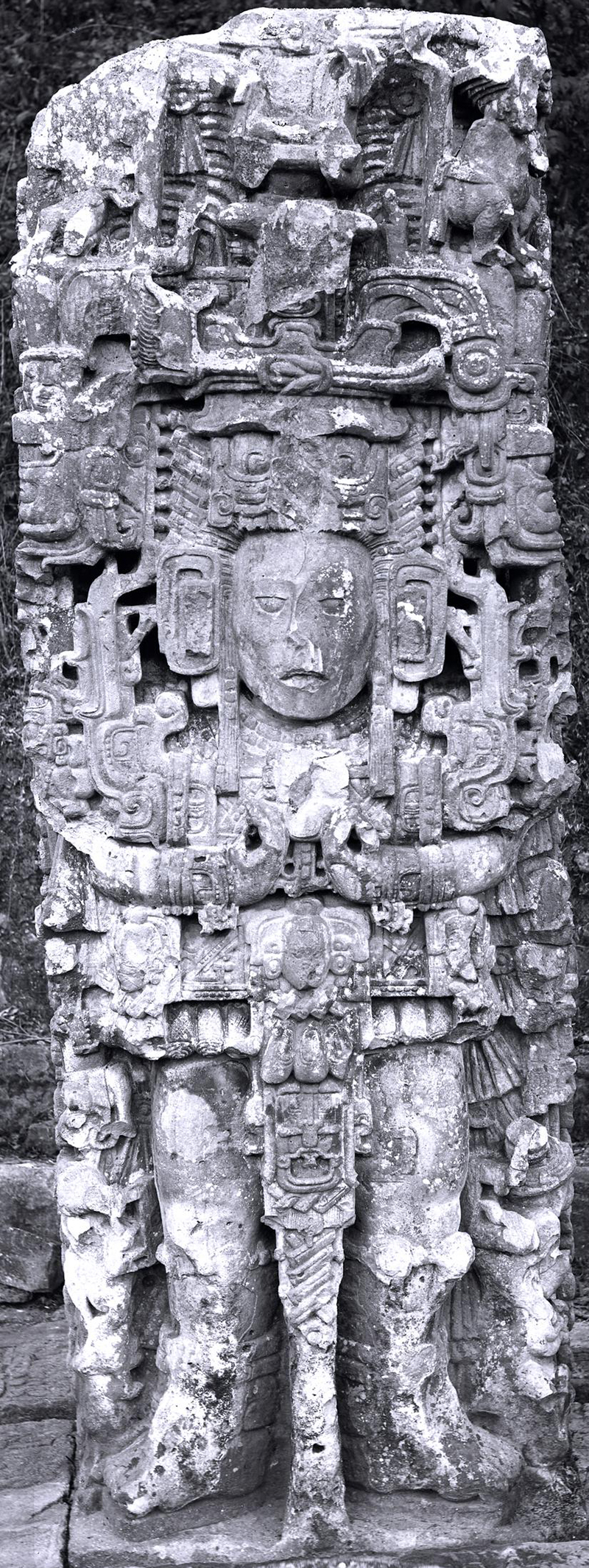 Blowup version of Maudslay's photo of Stela N showing the amazing detail captured by his glass-plate negatives