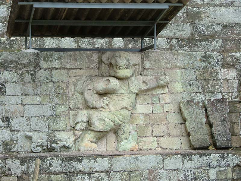 Dancing Waterlily Jaguars