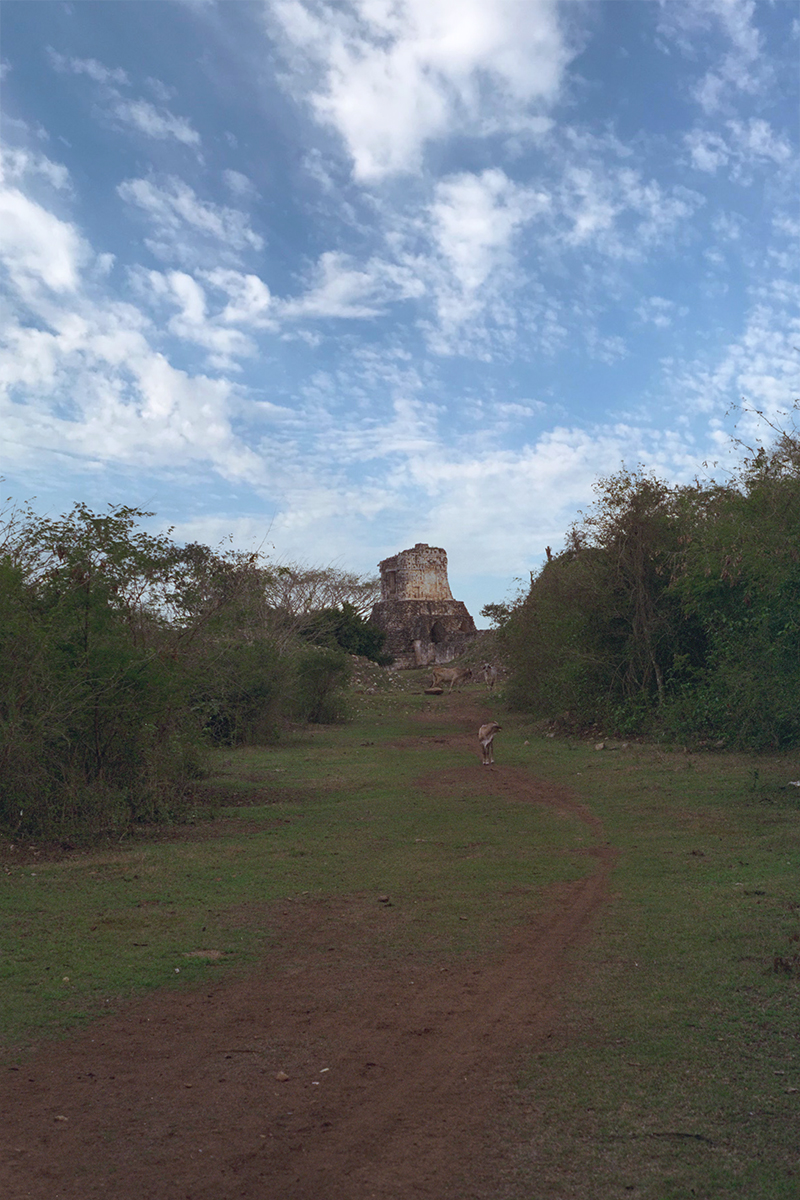 Dzibilnocac was being used as a cow pasture in 1997