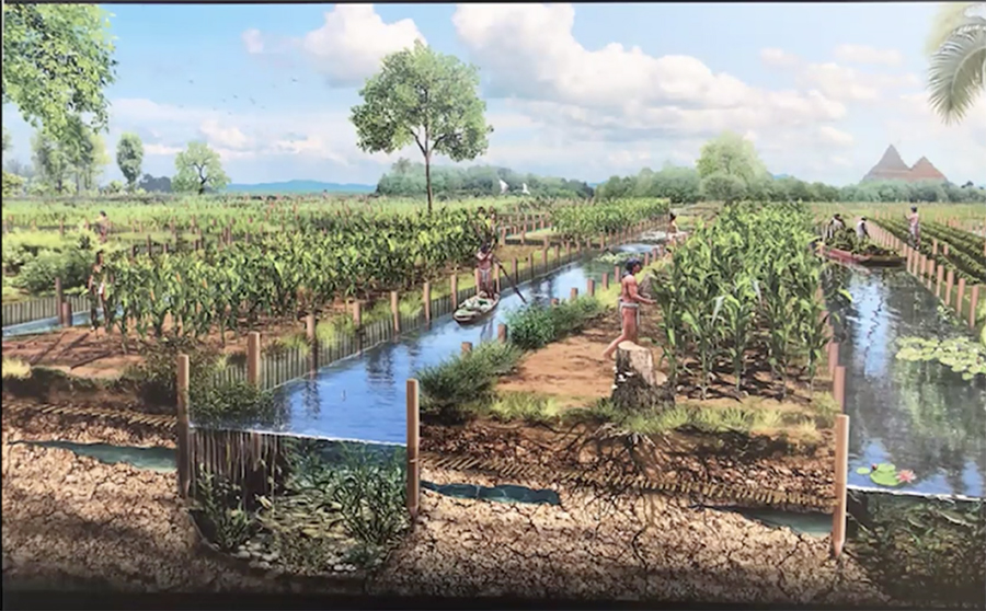 Artists conception of ancient Chinampas agriculture