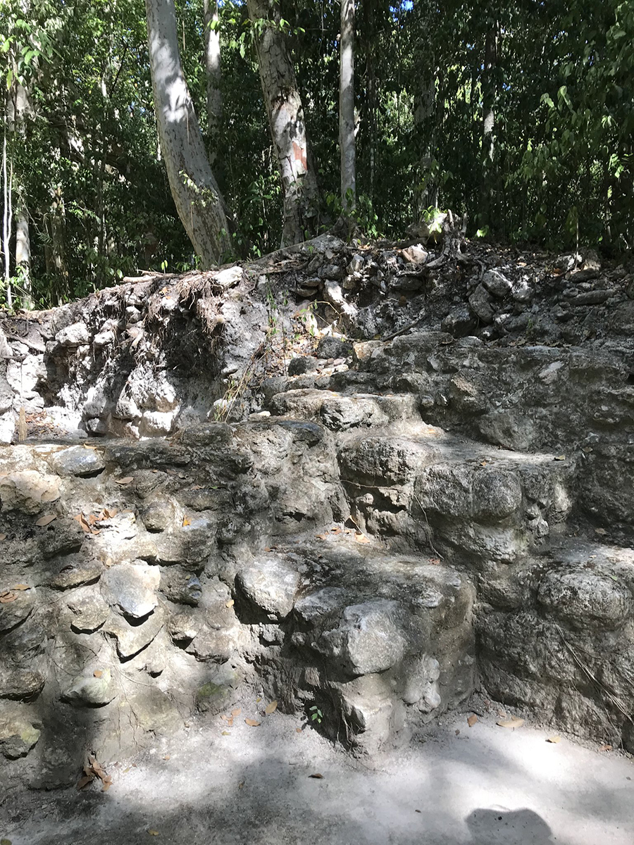 Small ruin on the path to La Danta, El Mirador