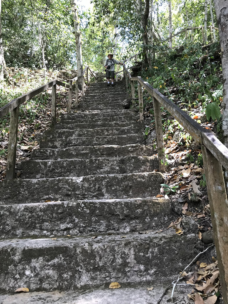 La Danta Pyramid, El Mirador. The largest pyramid at the site