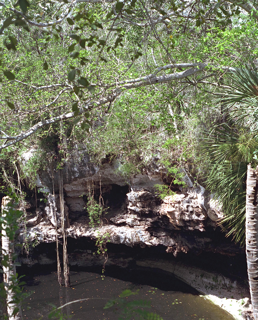 Cenote Xtojil near Libre Union