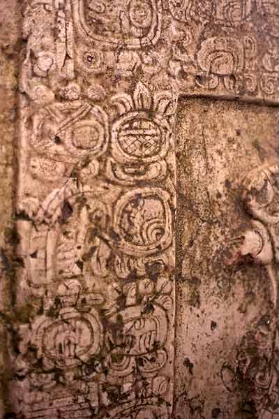 Detail of glyph block from Lamanai Stela 9