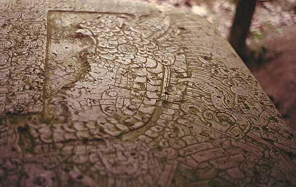 Detail of Lord Smoking Shell's face showing ritual defacement