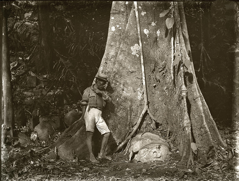 Maudslay's 1883 photo of Quirigua Monument N