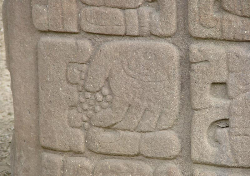 Glyph detail from West Side of Stela C