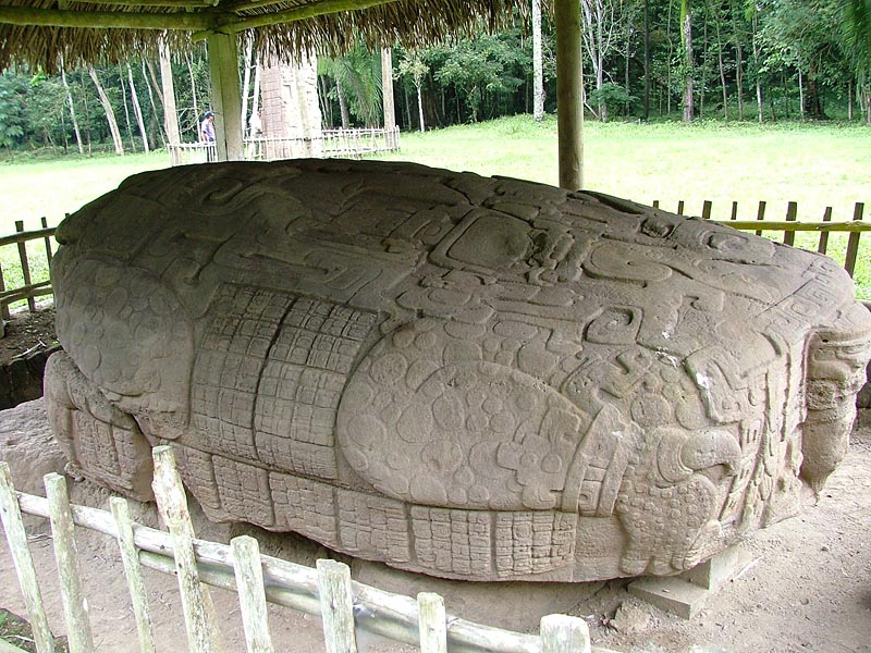 Another view of Zoomorph G