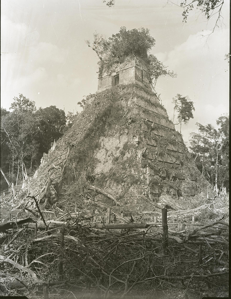 Alfred Maudslay's 1890 photo of Tikal Temple 1