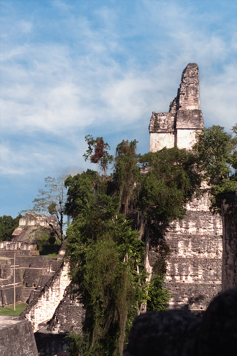 Tikal: North Acropolis seen from Central Acropolis