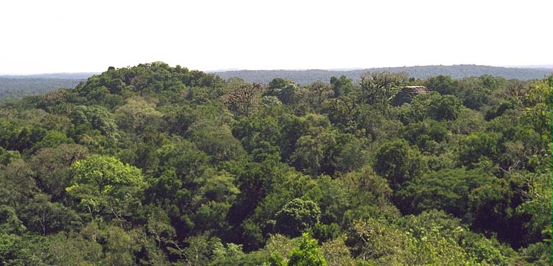 Tikal: Pyramid of the Lost World