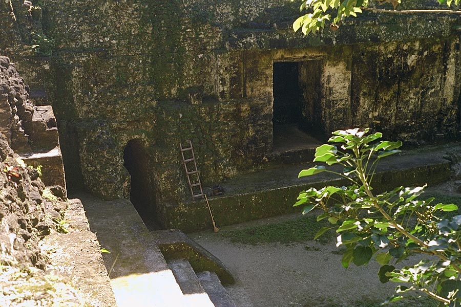 Tikal: Group G Interior Courtyard