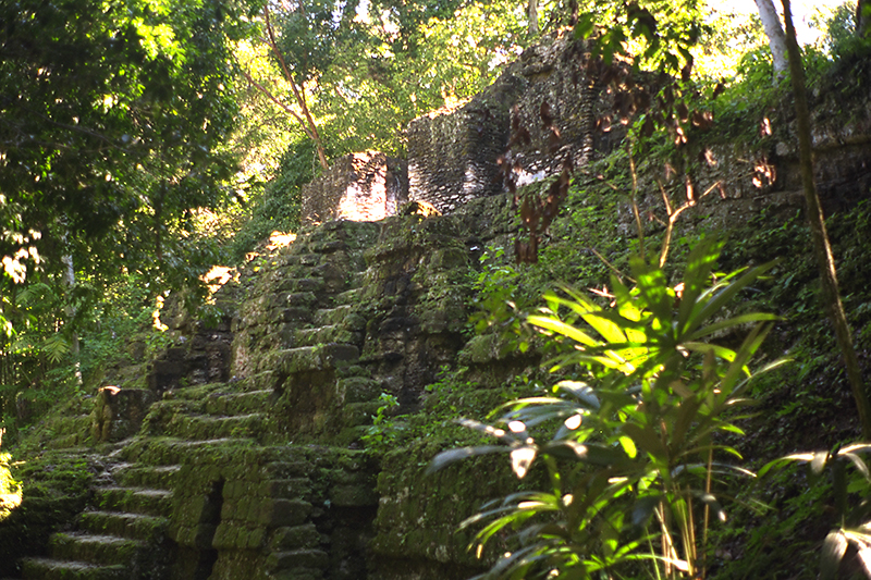 Tikal: Lost World complex