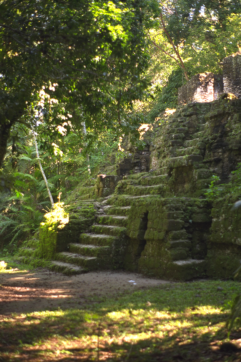 Tikal:  Lost World complex