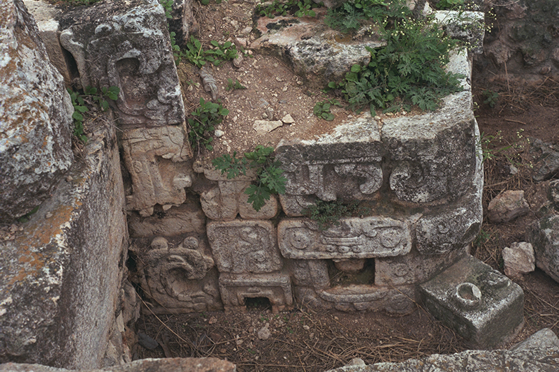 Chaac masks in NE foundation of Governor's Palace, Uxmal